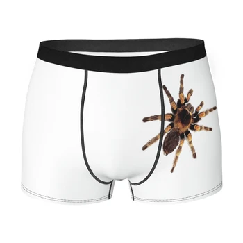 Паук, забавный лазающий Тарантул, трусы для любителей большого паука, мужские трусы, удобное нижнее белье, шорты-боксеры